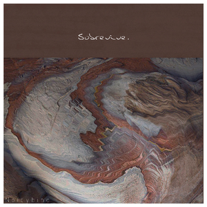 开处见血的免费视频
